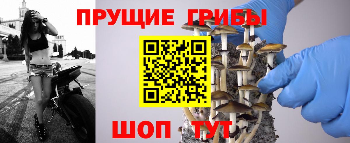 купить закладку  Псилоцибиновые грибы Psilocybe  Галлюциногенные грибы мухоморы  Вход с VPN  Донецк 