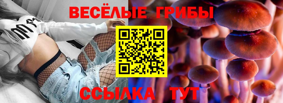 Галлюциногенные грибы Psilocybe Донецк